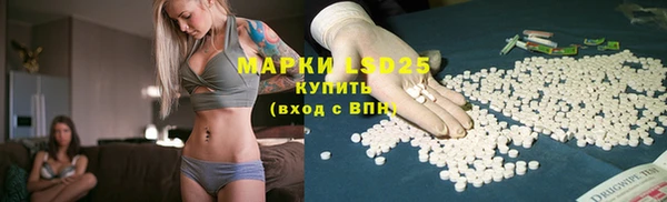 spice Медвежьегорск