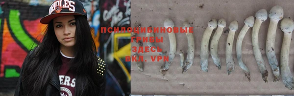 дурь Медногорск