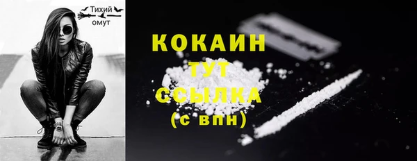 spice Медвежьегорск