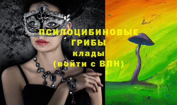 дурь Медногорск